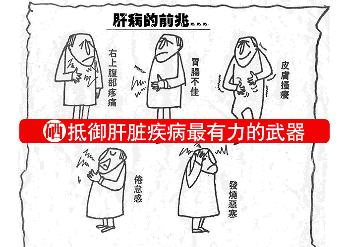 硒，抵御肝臟疾病最有力的武器