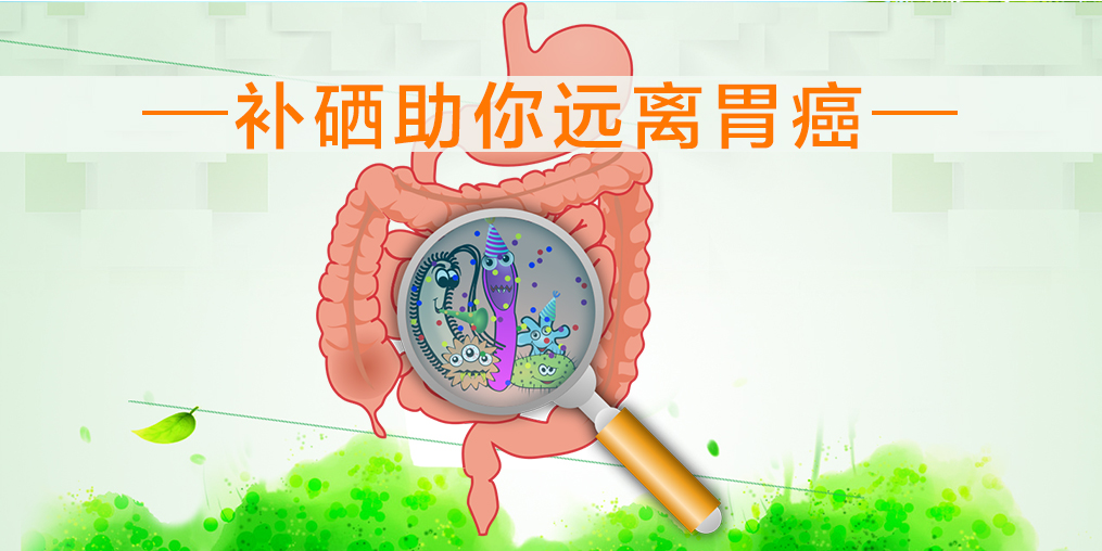 多補硒可降低萎縮性胃炎癌變的機率嗎？