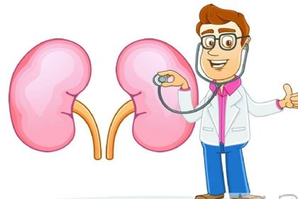 你的腎臟健康嗎?研究表明補(bǔ)硒對腎臟有保護(hù)作用