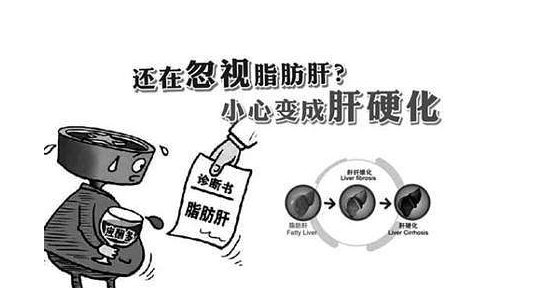 脂肪肝被稱(chēng)為“隱蔽性肝硬化”,適當(dāng)補(bǔ)硒可降低危害性