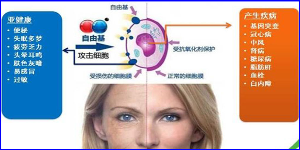 自由基是“百病之源”？硒元素可清除自由基