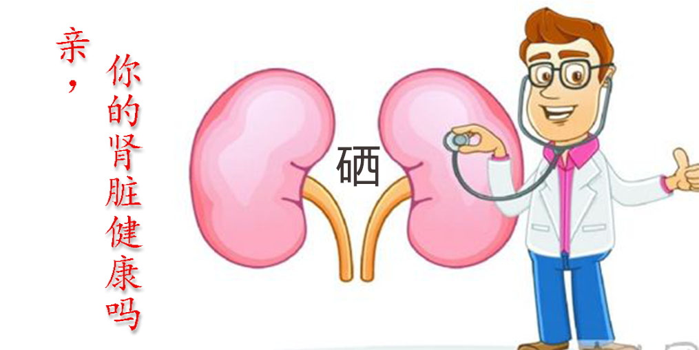 世界腎臟日|關(guān)愛腎臟健康，從補(bǔ)硒開始