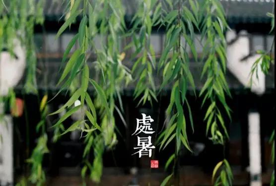 處暑養(yǎng)生小常識(shí)，謹(jǐn)記滋陰潤(rùn)肺防秋燥