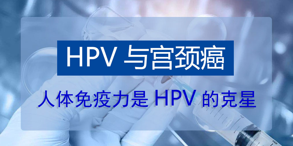 HPV病毒真的那么可怕嗎?人體免疫力是HPV的克星