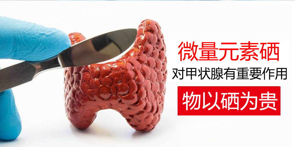物以“硒”為貴，甲狀腺疾病能適當補硒嗎？