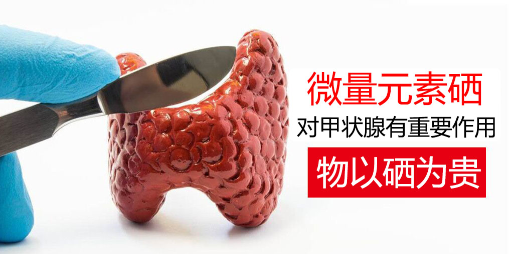 物以“硒”為貴,甲狀腺疾病能適當(dāng)補硒嗎?