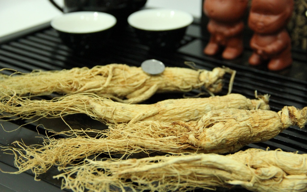 什么是人參皂苷？它對(duì)人體的健康有哪些功效？