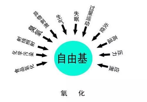 自由基是萬病之源，補(bǔ)硒可以有效清除自由基