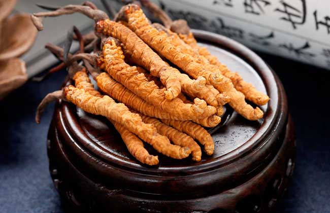 冬蟲夏草的營(yíng)養(yǎng)成分有哪些？好在哪里