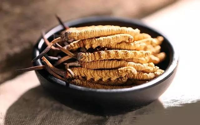 冬蟲(chóng)夏草為什么得到很多人的認(rèn)可？