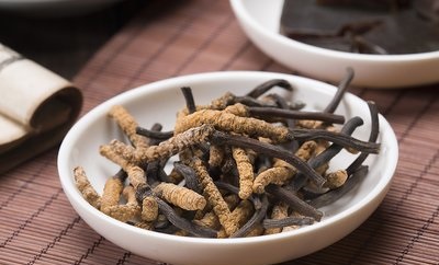 冬天宜進(jìn)補(bǔ)冬蟲夏草，看看它都有什么好