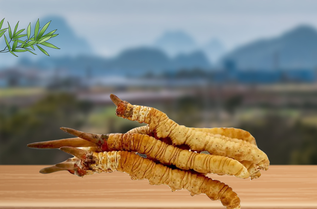 冬蟲夏草和腎病還有什么關(guān)系嗎？
