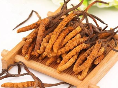蟲草素？冬蟲夏草里的蟲草素是什么？