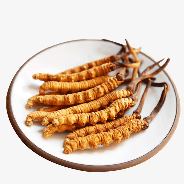冬蟲夏草菌絲體是如何產(chǎn)生的？