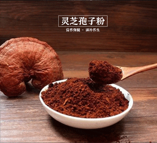 靈芝孢子粉對(duì)女性來(lái)說(shuō)有很大的作用