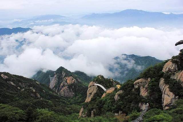 大別山的靈芝孢子粉為什么好？