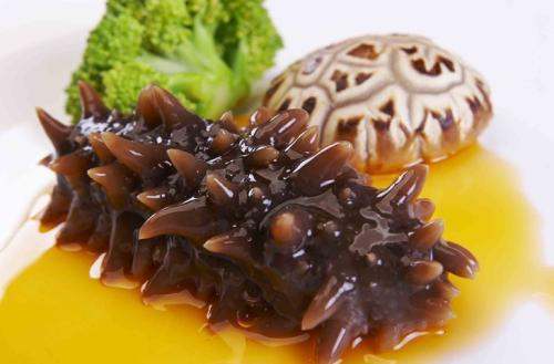 關(guān)于海參的冷知識(shí)，您知道嗎？