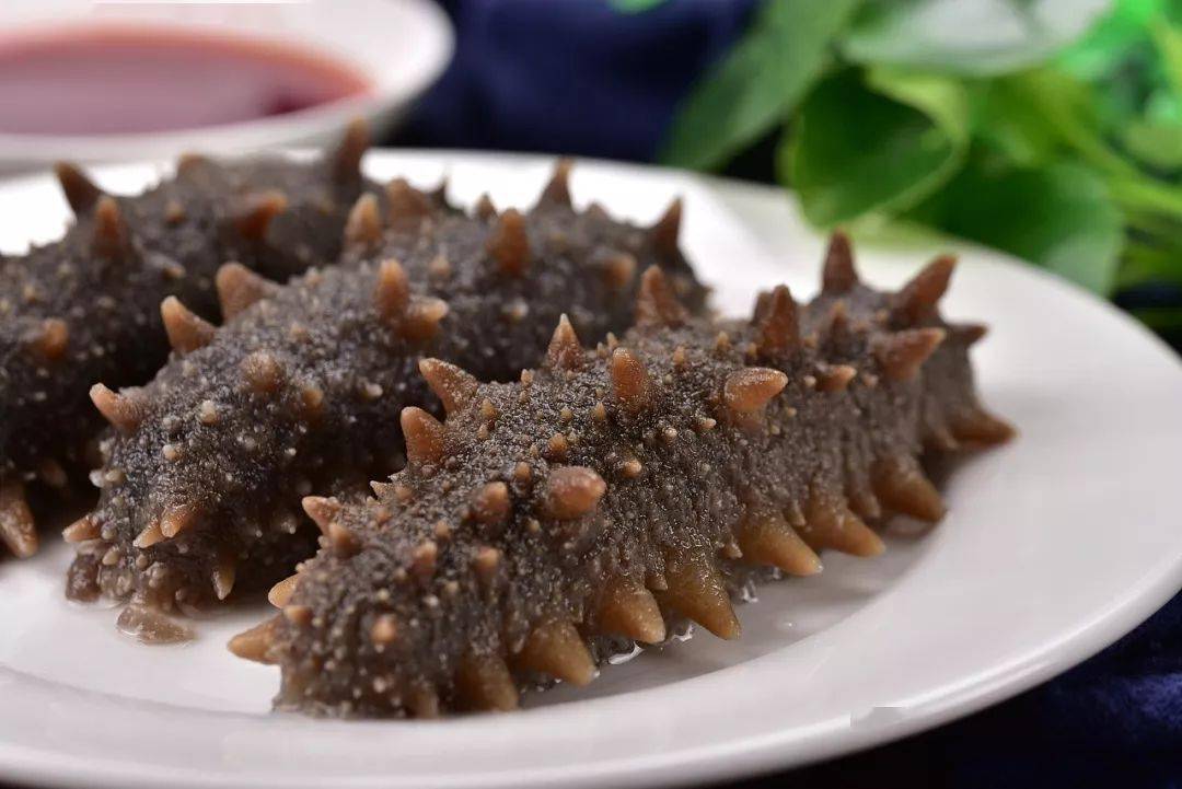 夏季能不能吃海參滋補身體呢？