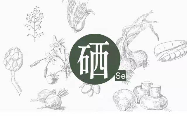 硒的幾種分類，你補(bǔ)對(duì)了嗎？